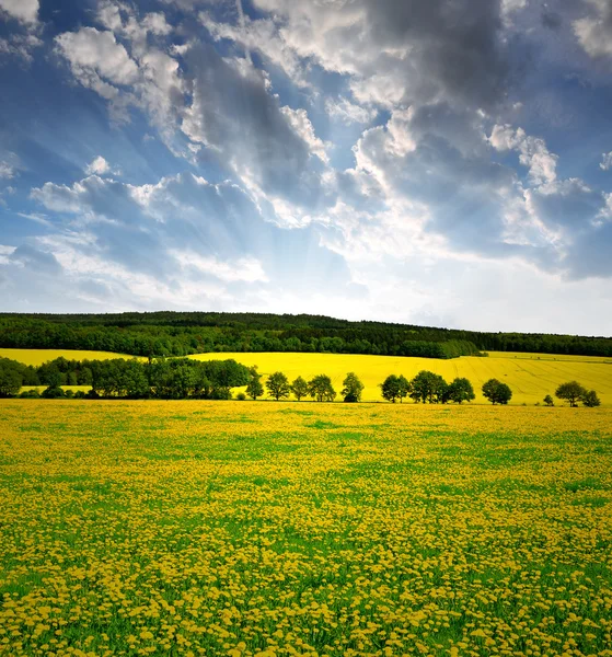 Lente landschap — Stockfoto