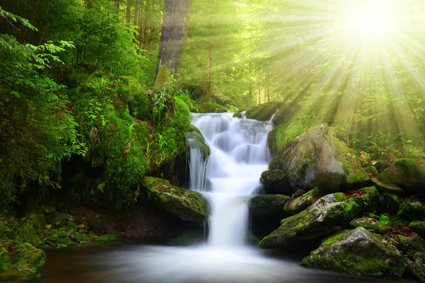 Beautiful waterfall — Stock Photo, Image