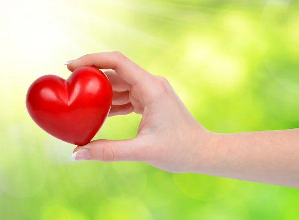 Heart in hand — Stock Photo, Image