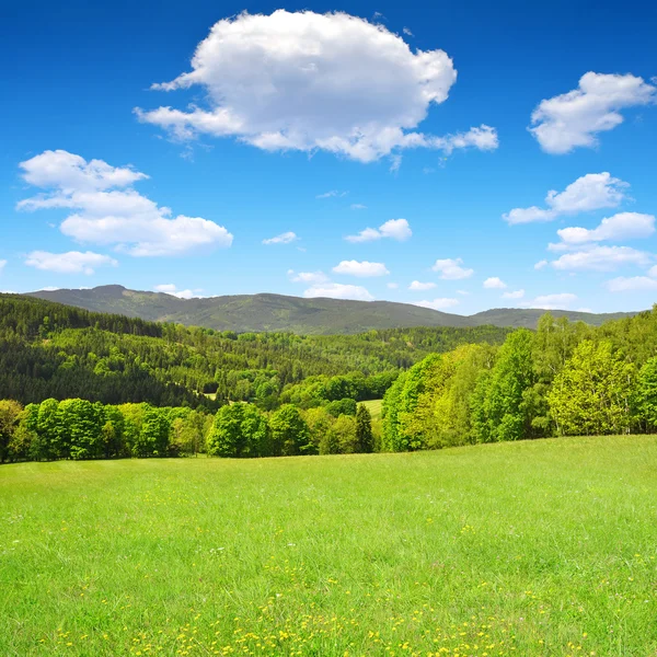 Våren landskap — Stockfoto