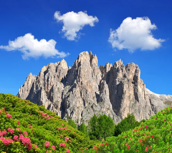 Dolomiet pieken, rosengarten — Stockfoto