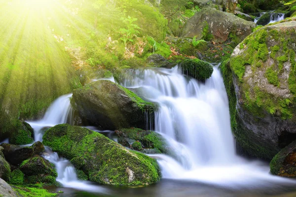 Waterfall — Stock Photo, Image