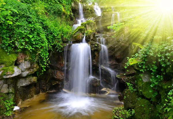 Waterfall — Stock Photo, Image