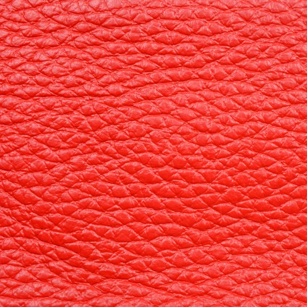 Pelle rossa — Foto Stock
