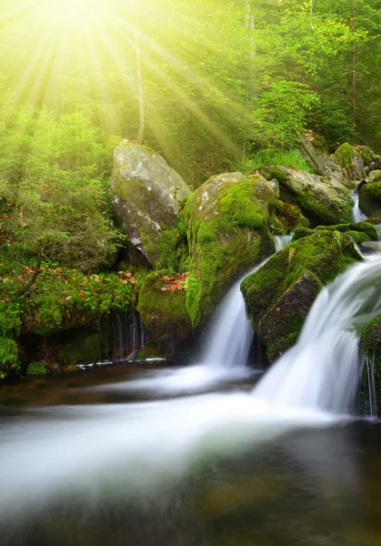 Cachoeira — Fotografia de Stock