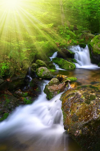 Cachoeira — Fotografia de Stock