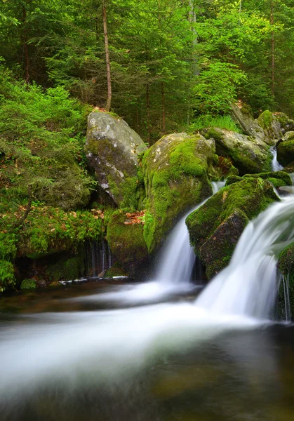 Bergkreek — Stockfoto