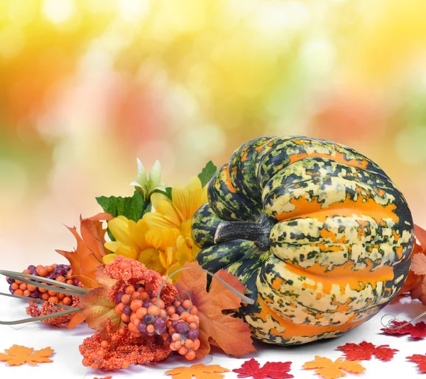 Colorful pumpkin — Stock Photo, Image