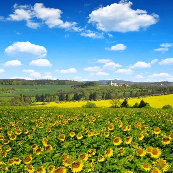 Lente landschap — Stockfoto