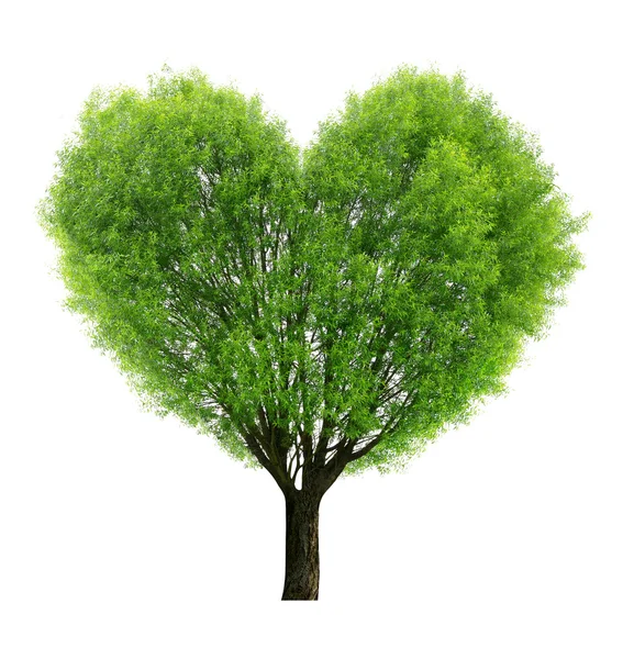 树的形状的心 — 图库照片