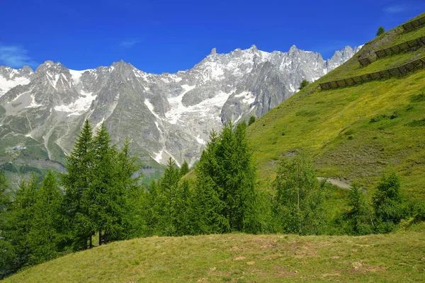 Piękny Letni Krajobraz Górski Grandes Jorasses Masyw Mont Blanc Courmayeur — Zdjęcie stockowe