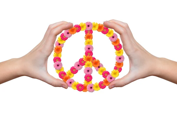 Friedensblume als Symbol — Stockfoto