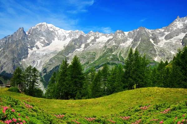 Visa Mont Blanc Monte Bianco Bergskedjan Solig Dag Aostadalen Italien — Stockfoto