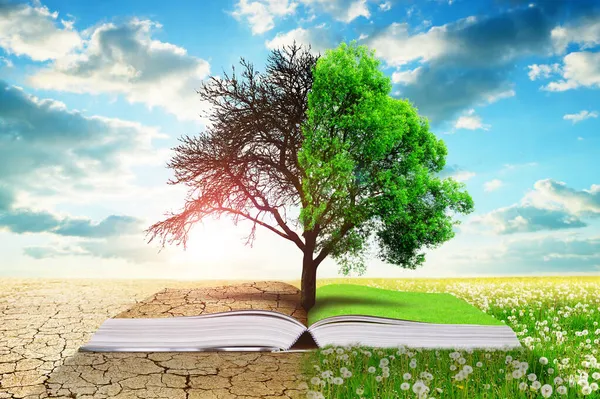 Aufgeschlagenes Buch Mit Lebendem Und Totem Baum Globale Erwärmung Oder — Stockfoto