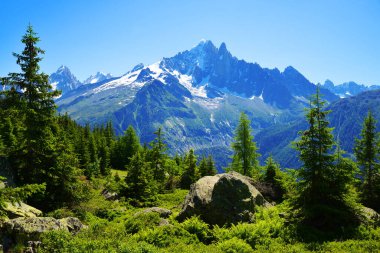 Aiguille Dağı Doğa Rezervindeki Verte Aiguilles Rouges, Graian Alpleri, Fransa, Avrupa.