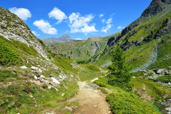 Gran Paradiso国家公园 意大利奥斯塔谷 晴天美丽的山景 — 图库照片