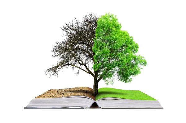 打开的书 活树和枯树隔离在白色的背景上 全球变暖或气候变化概念 — 图库照片