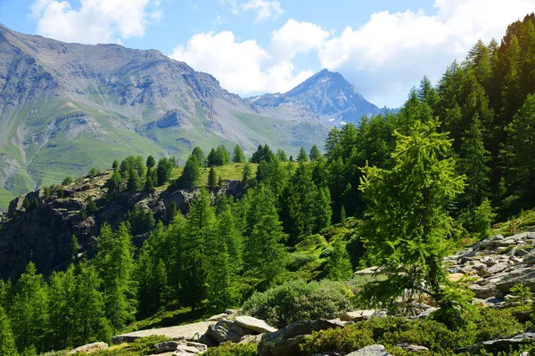 Gran Paradiso Ulusal Parkı Aosta Vadisi Talya Güneşli Bir Günde — Stok fotoğraf