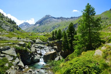 Gran Paradiso Ulusal Parkı. Valle di Bardoney, Aosta Vadisi, İtalya. Güneşli bir günde güzel dağ manzarası.