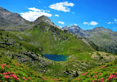 Dağ Gölü Lago di Loie, Gran Paradiso, Lillaz, Cogne, Aosta Vadisi, İtalya. Alplerde yaz manzarası.