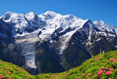 Güneşli bir günde Mont Blanc sıradağları. Doğal Rezerv Aiguilles Rouges, Graian Alpleri, Fransa, Avrupa.