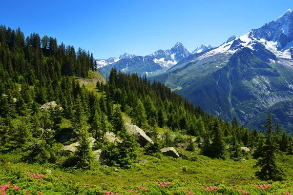 Nature Reserve Aiguilles Rouges Graian Alps France Europe — Stock Photo, Image