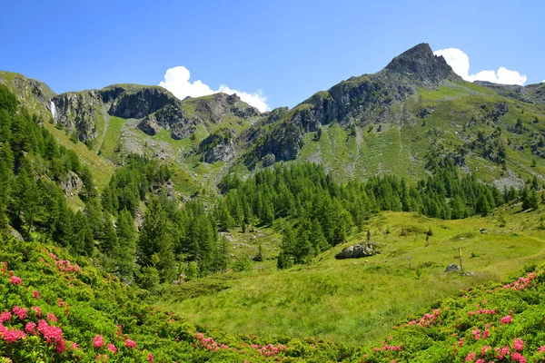 グラン パラディソ国立公園 イタリアのアオスタ渓谷 晴れた日の美しい山の風景 — ストック写真