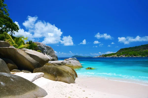 Playa Tropical Con Palmeras Coco Isla Coco Océano Índico Seychelles — Foto de Stock