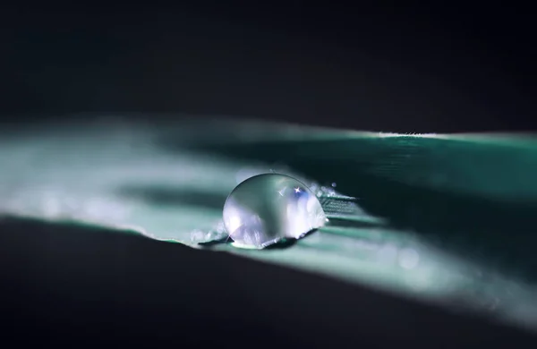 Transparente Tropfen Wassertau Auf Gras Aus Nächster Nähe Natürlicher Hintergrund — Stockfoto