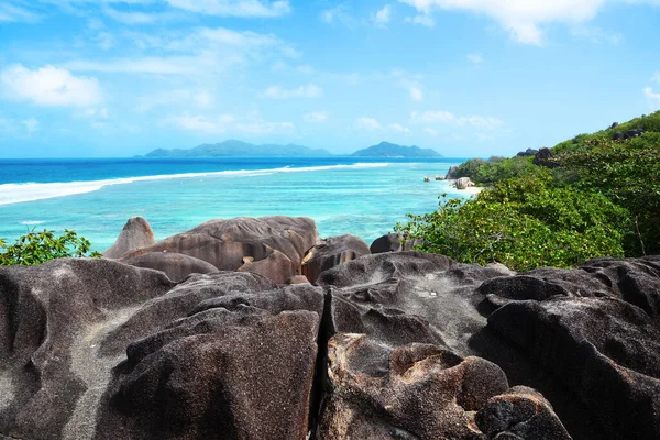 Costa Dell Isola Tropicale Digue Oceano Indiano Seychelles — Foto Stock