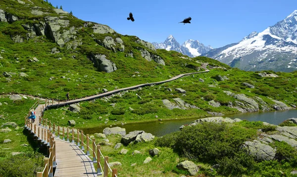 Hikers Trip Nature Reserve Aiguilles Rouges French Alps France Europe —  Fotos de Stock