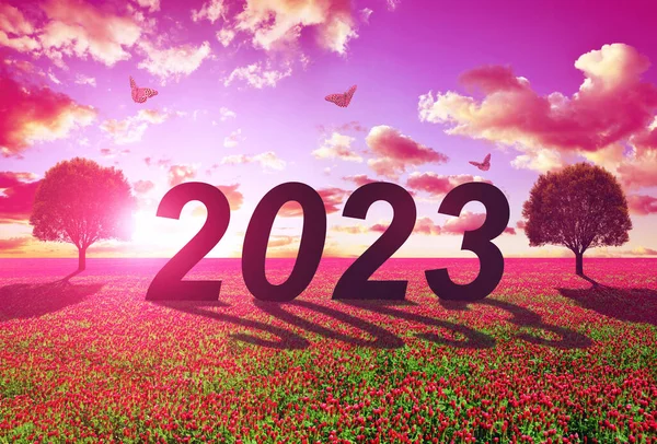 Number 2023 Tree Meadow Sunset Concept Happy New Year — Foto Stock