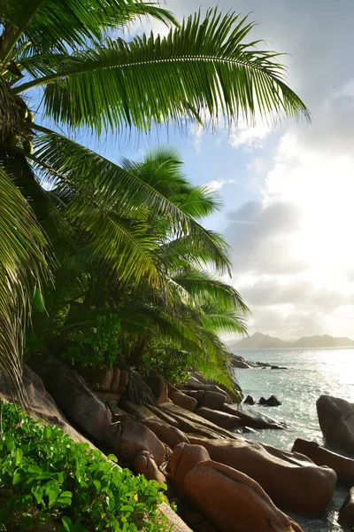 Anse Severe Beach Sunset Indian Ocean Seychelles Tropical Destination — Foto Stock