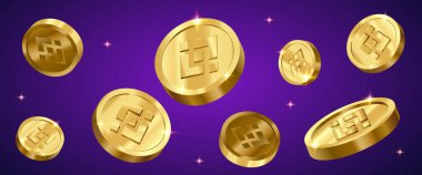 Binance Sikkeleri, Şifreleme Para Birimi Vektörü Banner