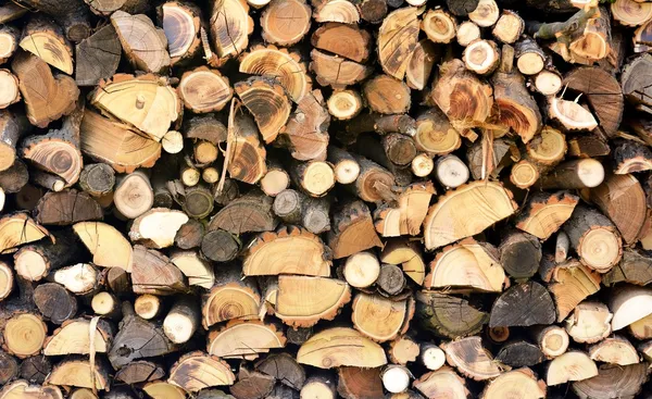 Pile de bois de chauffage — Photo