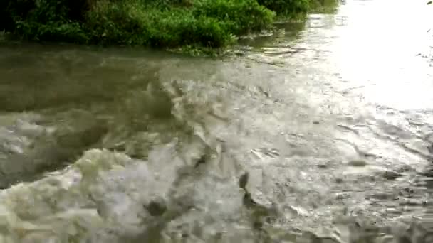 Ruisseau sauvage 