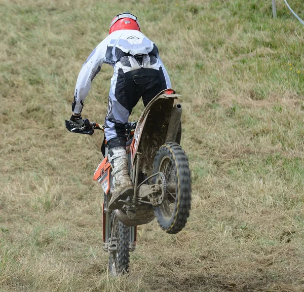 Avrupa enduro Şampiyonası 2013