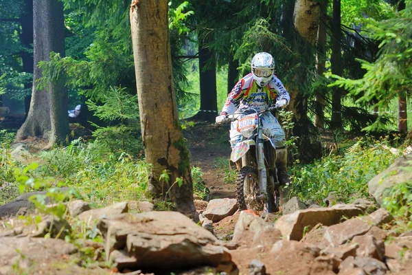 Campionato Europeo Enduro 2013 — Foto Stock