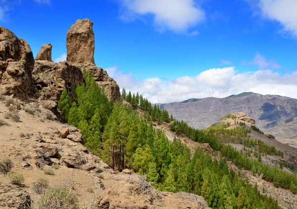 Roque nublo tepe
