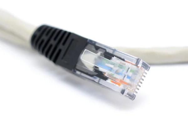 UTP Patchcord — Stok fotoğraf