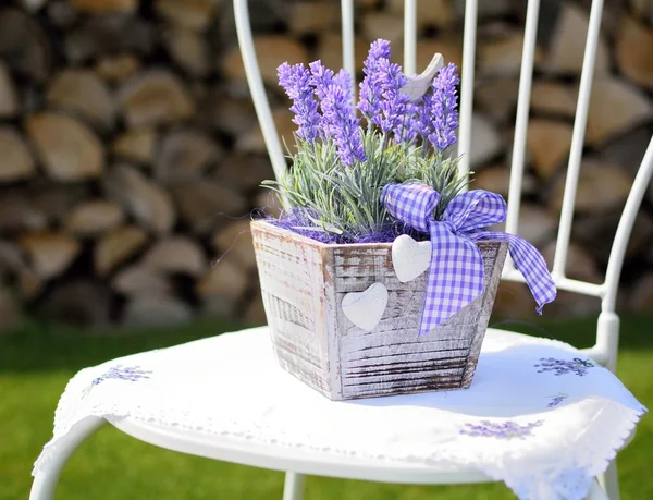 Lavender decoration — Stock Photo, Image
