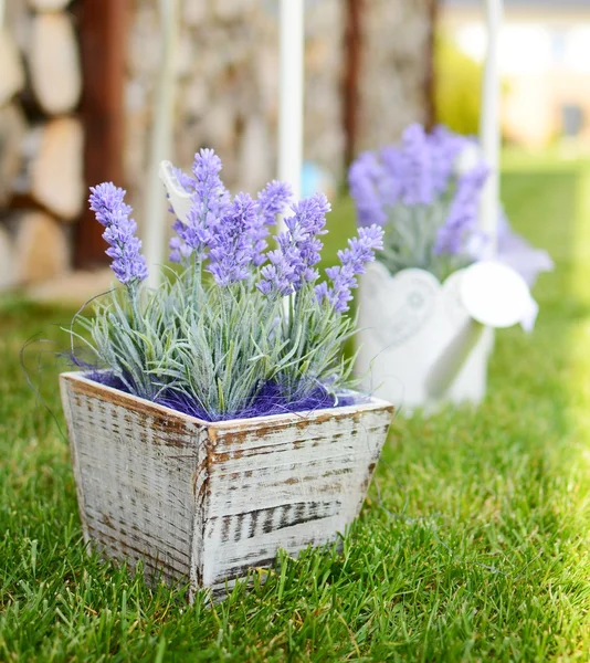 Decoración de lavanda — Foto de Stock