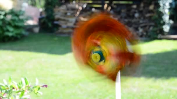 Kleur pinwheel — Stockvideo