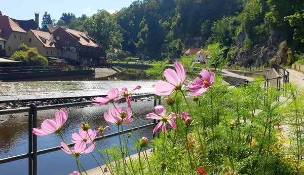 Widok Piękne Miasto Cesky Krumlov Republice Czeskiej Widok Wełtawy Cesky — Zdjęcie stockowe