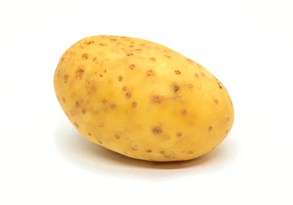 Closeup One Whole Ripe Potato White Background — Stock Photo, Image