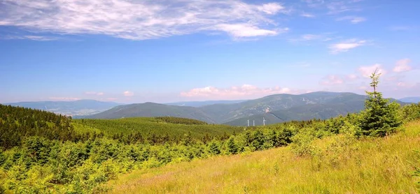 Jeseniky Berglandschap Zomer Met Windturbines Achtergrond Helderblauwe Lucht Tsjechië — Stockfoto