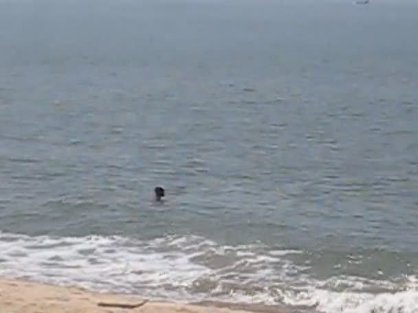 Cherai Beach em Kerala, Índia — Vídeo de Stock