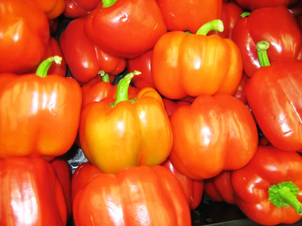 Hint capsicum kırmızı