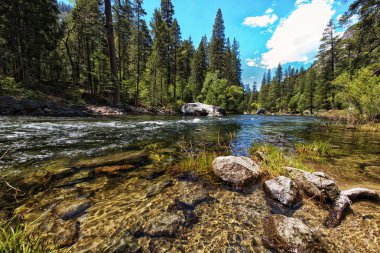 Yosemite Ulusal Parkı, Kaliforniya