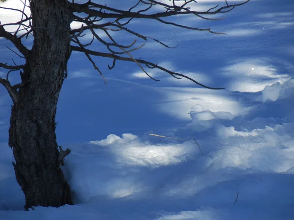 Bryce canyon utah içinde